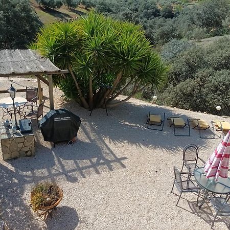 Hacienda La Buena Vida B&B En Appartementen Casita Almendas La Carrera de la Viña 外观 照片