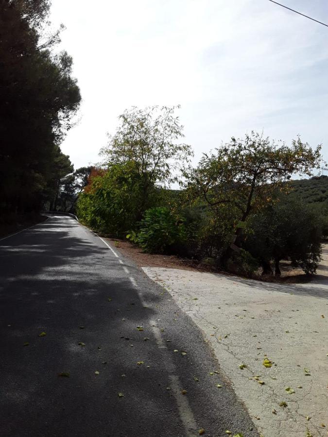 Hacienda La Buena Vida B&B En Appartementen Casita Almendas La Carrera de la Viña 外观 照片