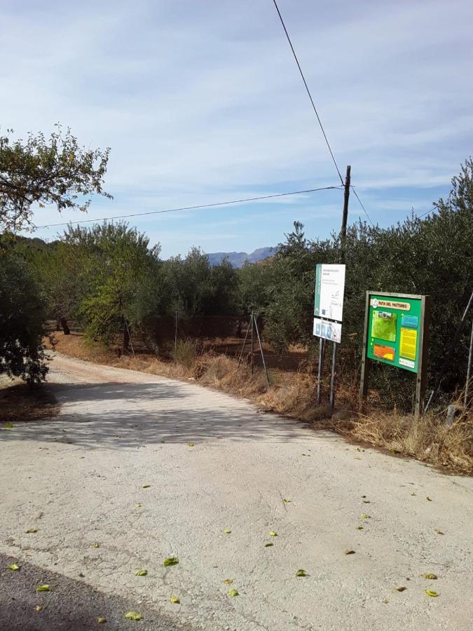 Hacienda La Buena Vida B&B En Appartementen Casita Almendas La Carrera de la Viña 外观 照片