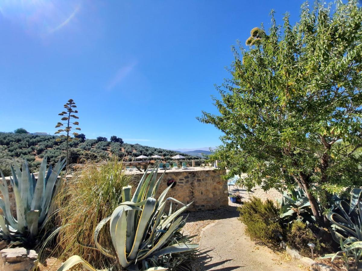 Hacienda La Buena Vida B&B En Appartementen Casita Almendas La Carrera de la Viña 外观 照片