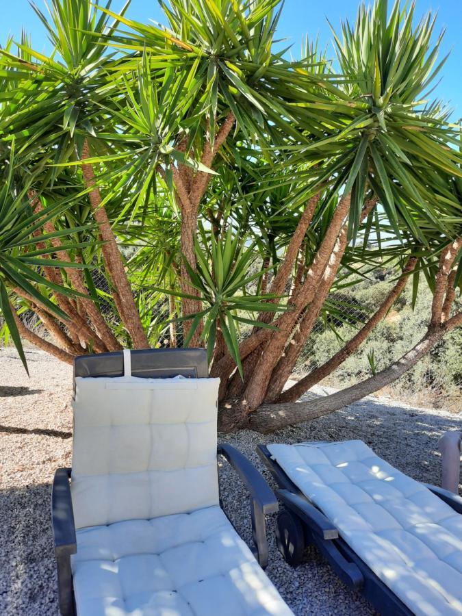 Hacienda La Buena Vida B&B En Appartementen Casita Almendas La Carrera de la Viña 外观 照片