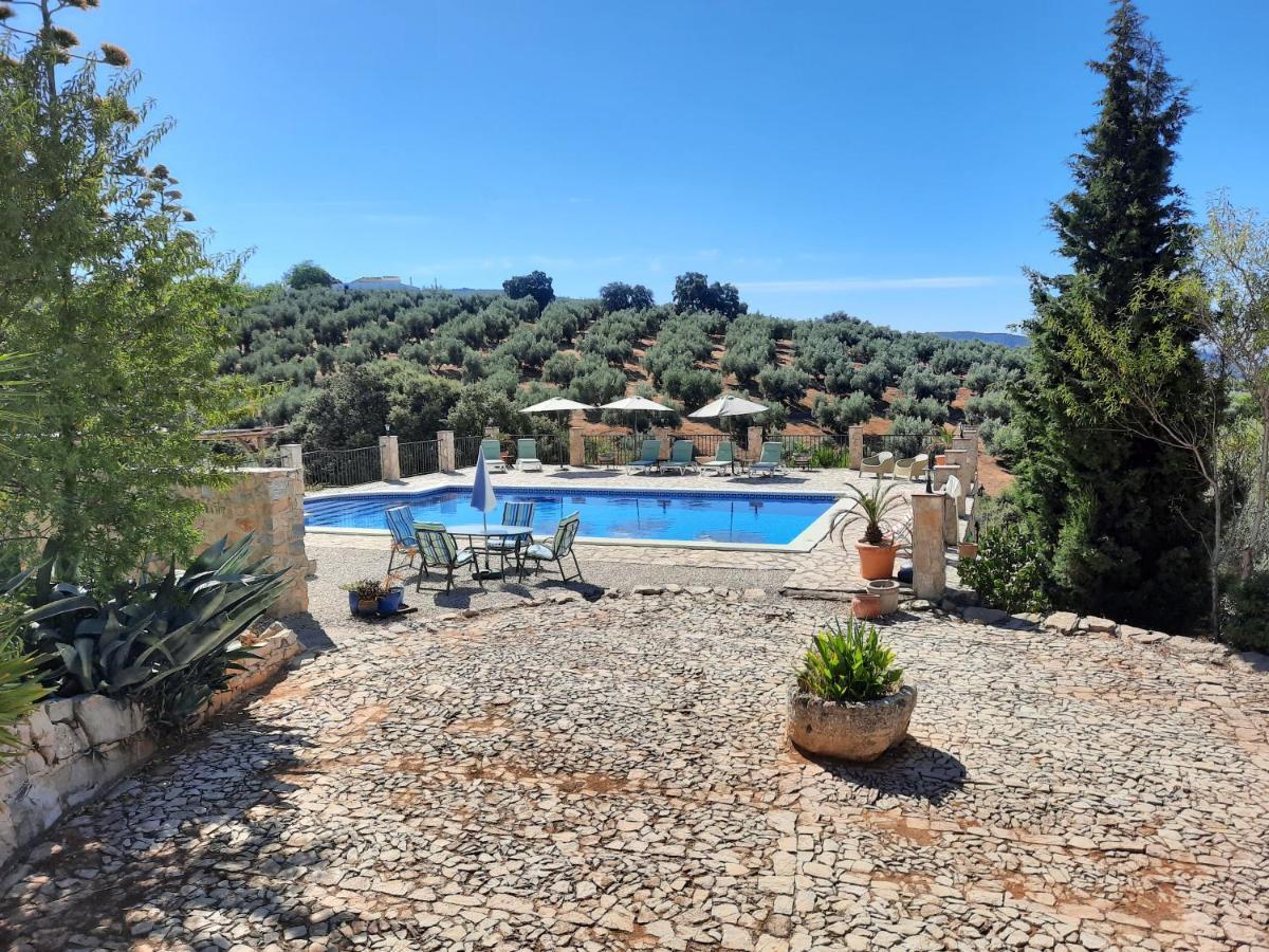 Hacienda La Buena Vida B&B En Appartementen Casita Almendas La Carrera de la Viña 外观 照片