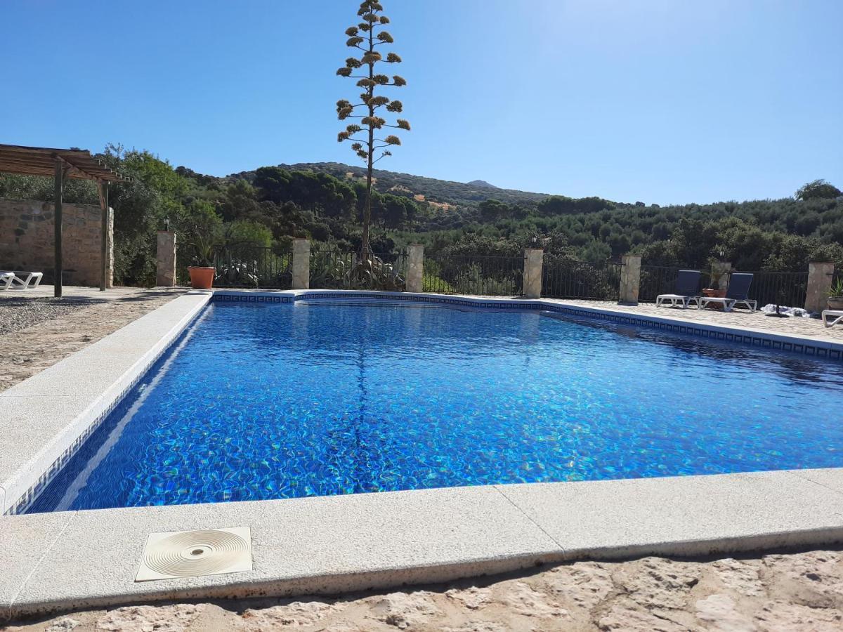 Hacienda La Buena Vida B&B En Appartementen Casita Almendas La Carrera de la Viña 外观 照片