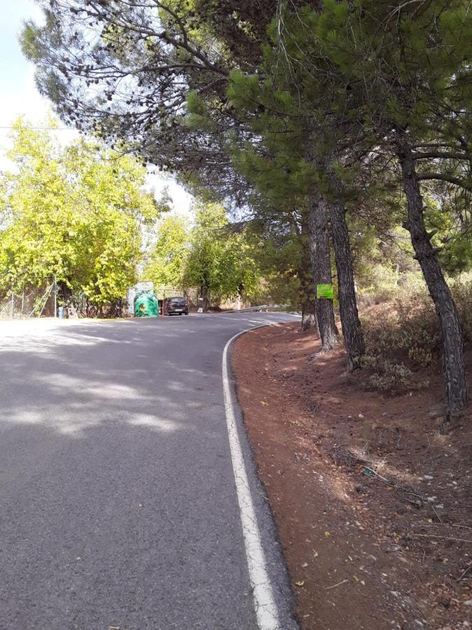 Hacienda La Buena Vida B&B En Appartementen Casita Almendas La Carrera de la Viña 外观 照片