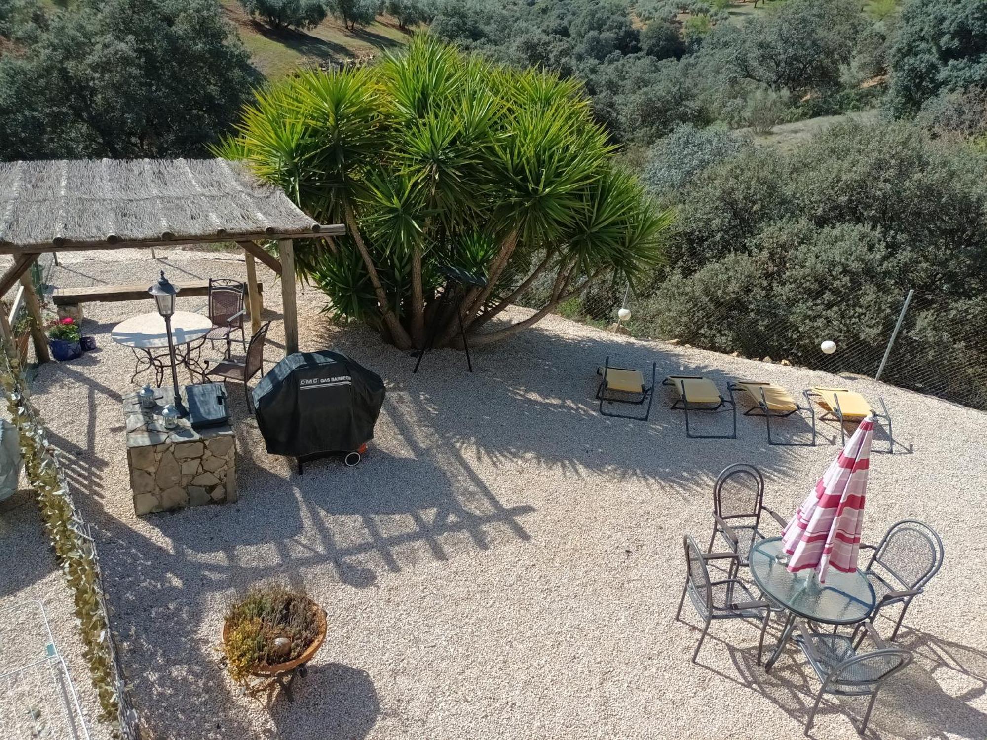Hacienda La Buena Vida B&B En Appartementen Casita Almendas La Carrera de la Viña 外观 照片